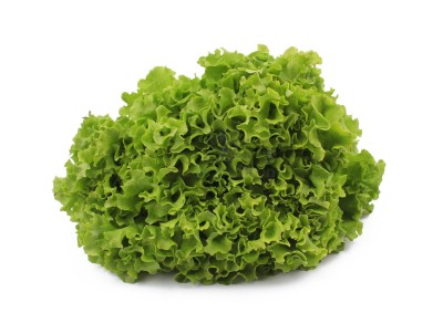 Салат романо 1 кг - купить в Малиновке